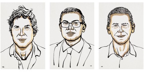 Nobelprijs Chemie 2024.jpg